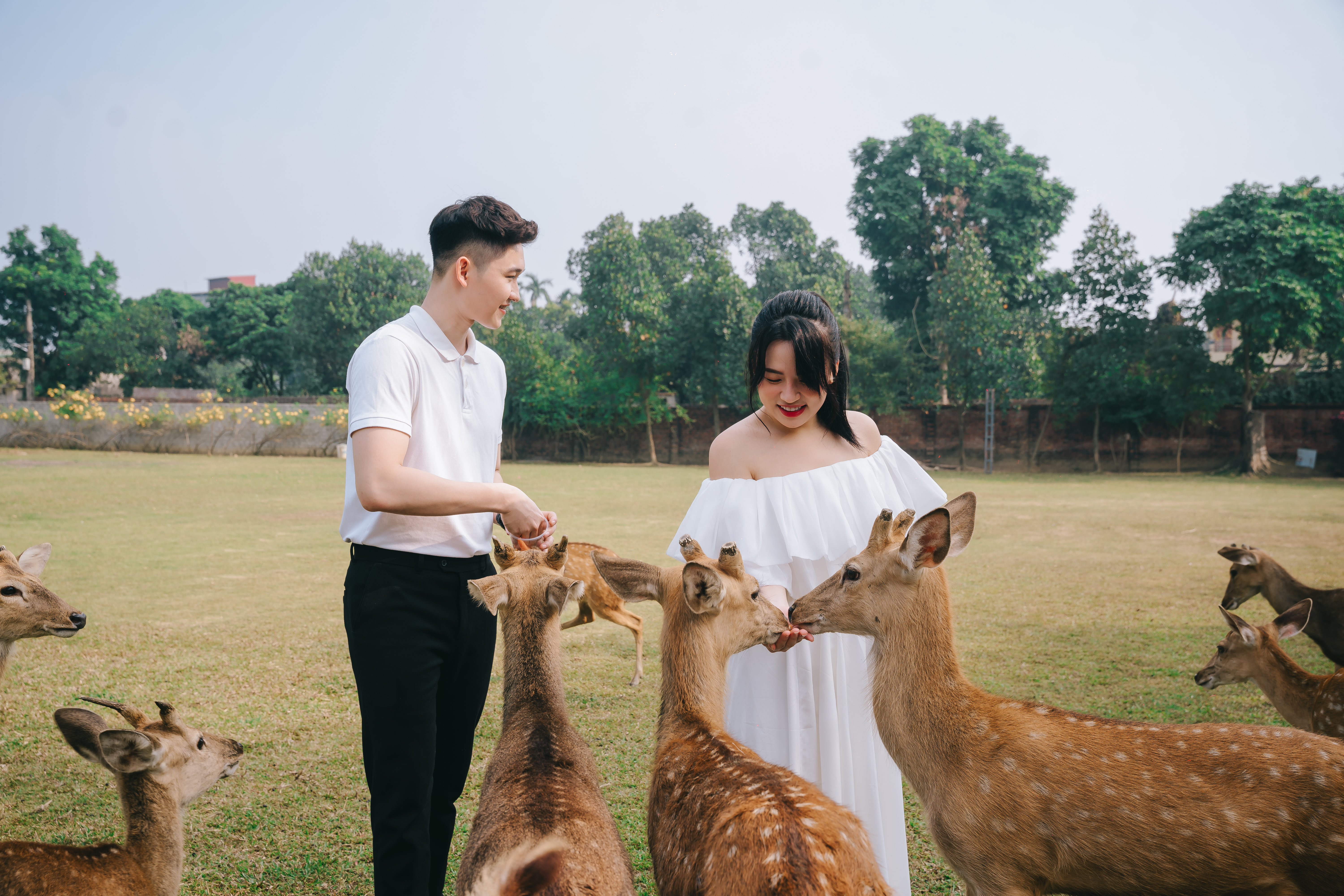 Công viên tại Asean Resort